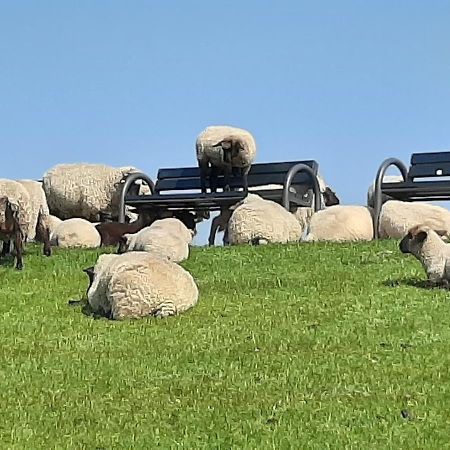 ノルデン Njoerdヴィラ エクステリア 写真